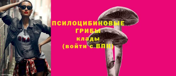 jwh Белокуриха