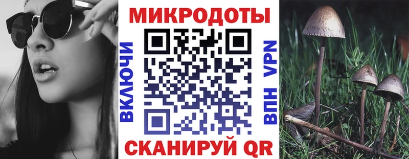где можно купить наркотик Пестово Галлюциногенные грибы Cubensis